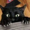 soupmatenumerou